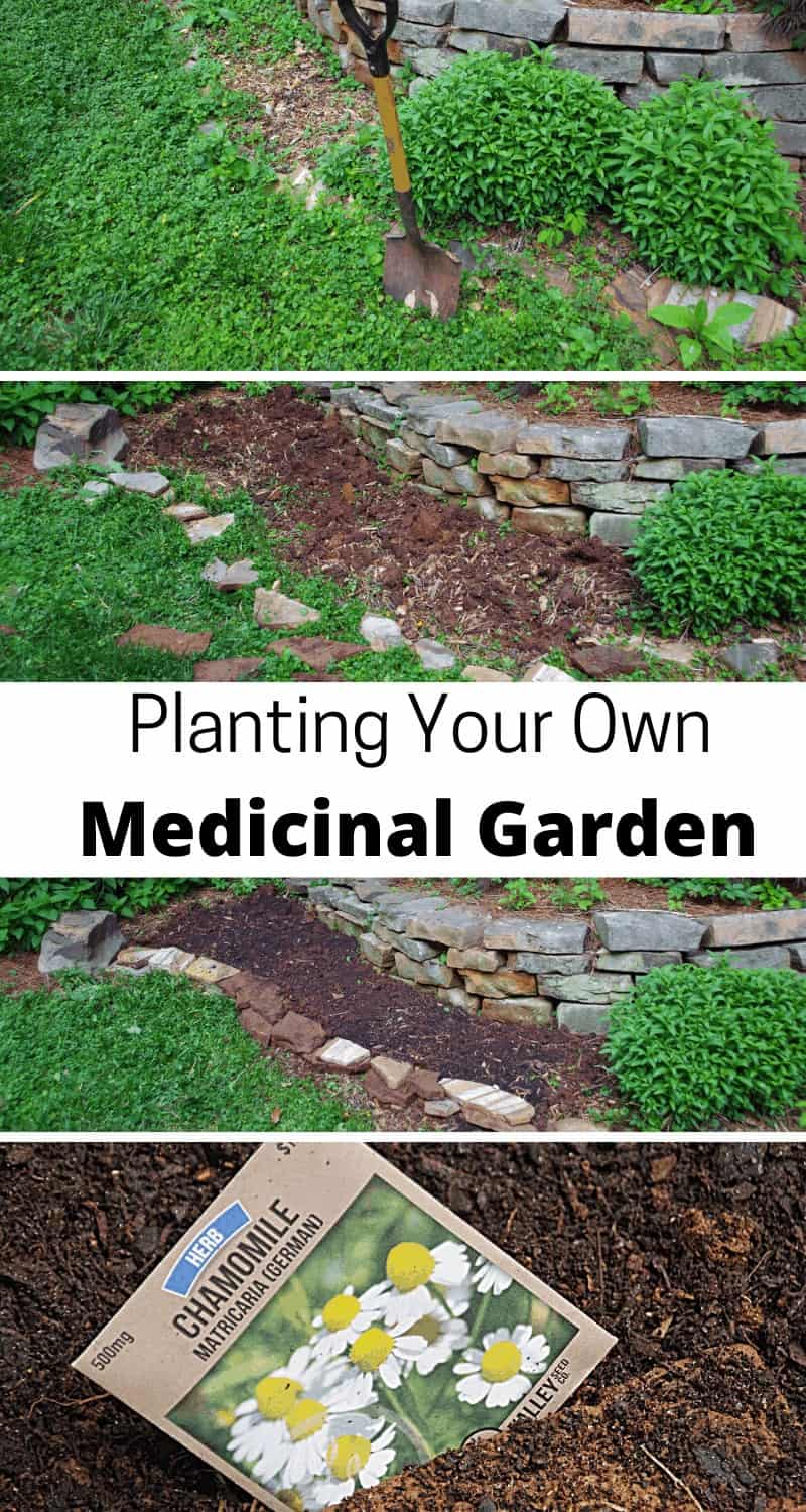 Growing A Medicinal Herb Garden - Turning The Clock Back